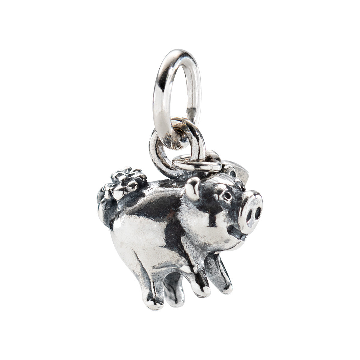 Charm Amen unisex charms - fortuna CH-FO10