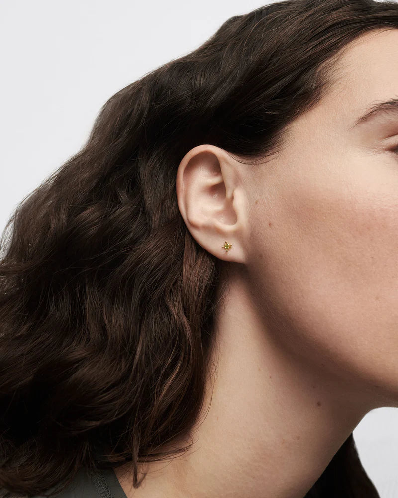 Orecchino A Cerchio Singolo Pdpaola Fleur Verde PG01-320-U