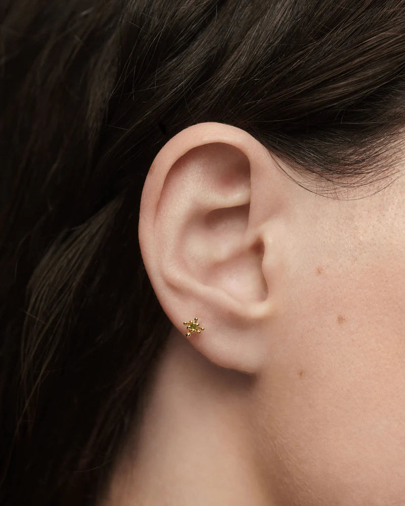 
                  
                    Orecchino A Cerchio Singolo Pdpaola Fleur Verde PG01-320-U
                  
                