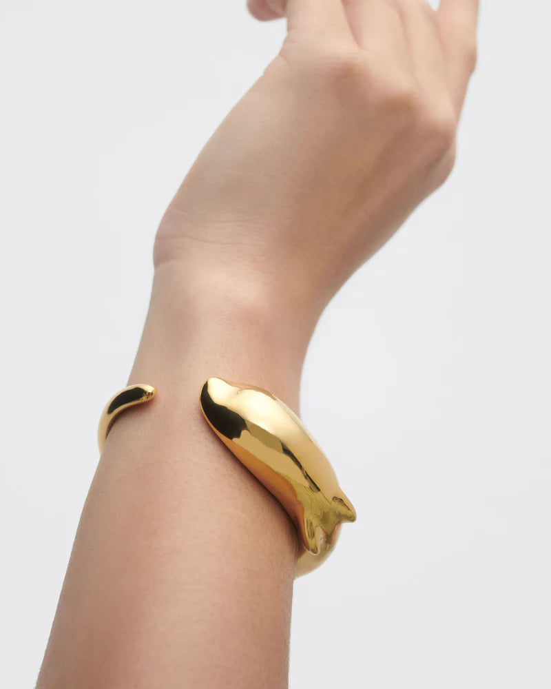 
                  
                    Bracciale PDPaola Dolphin PU01-901-U
                  
                