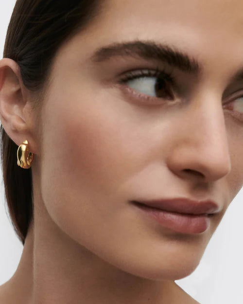 
                  
                    Orecchini PDPaola Dolphin AR01-D46-U
                  
                