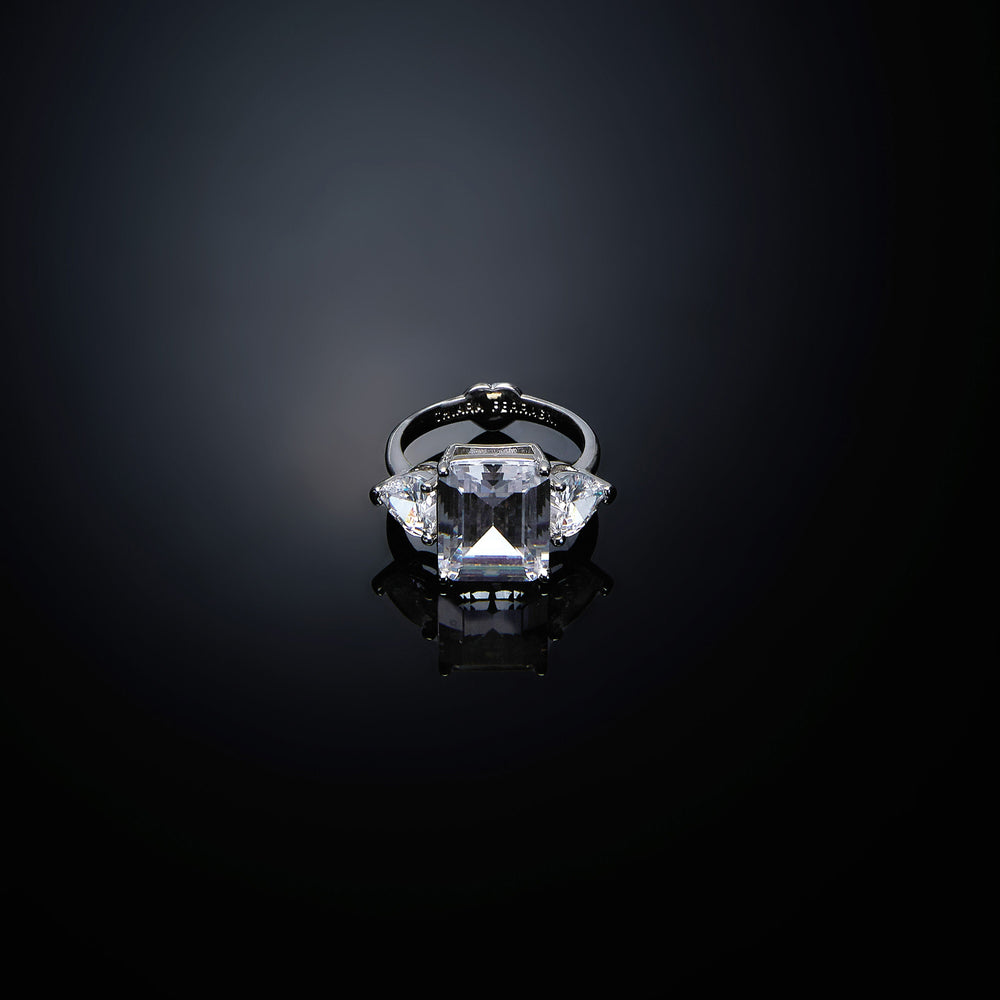
                  
                    ANELLO DONNA CHIARA FERRAGNI PRINCESS J19AVU06010
                  
                