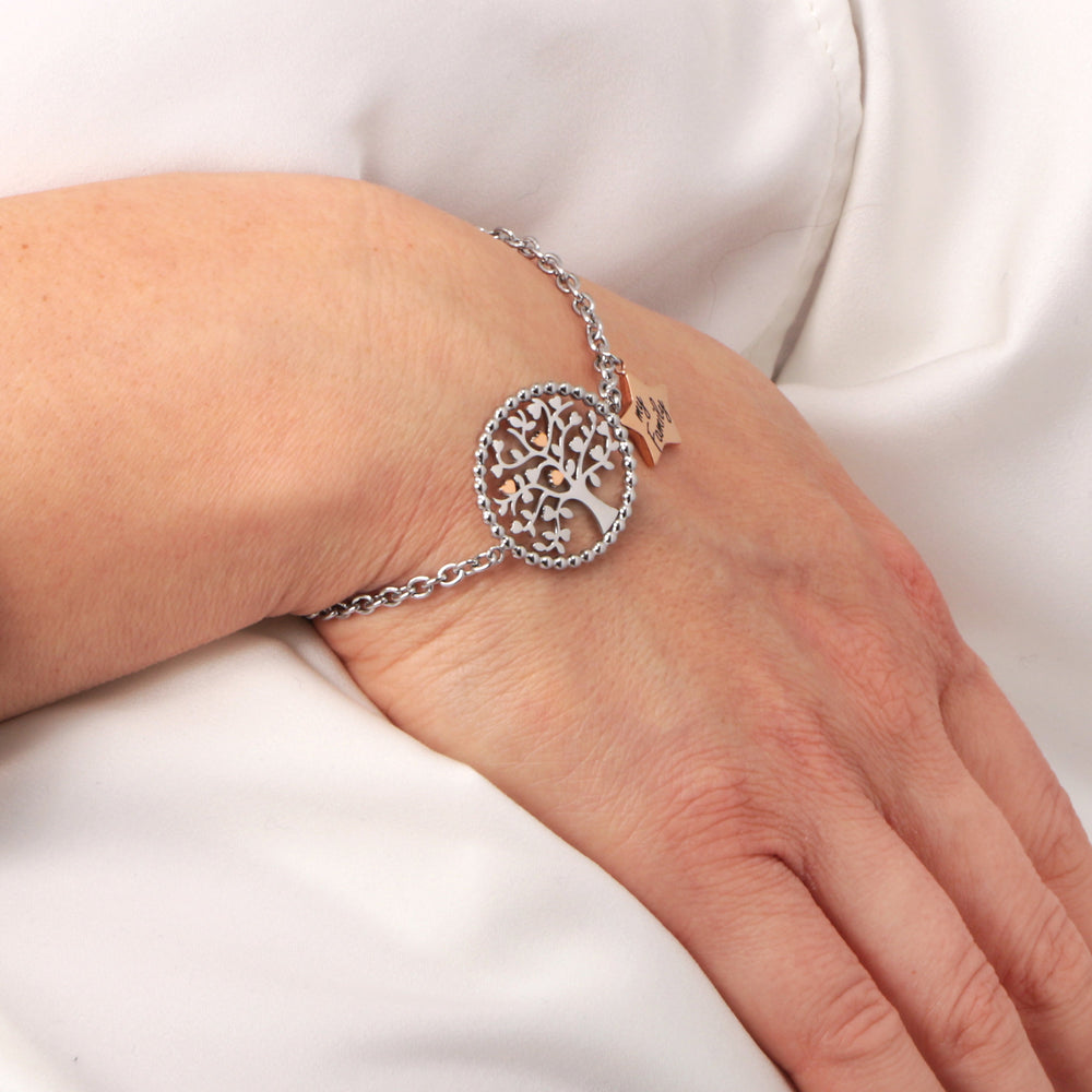 
                  
                    BRACCIALE DONNA MORELLATO TALISMANI SAQE14
                  
                