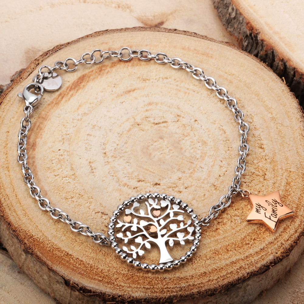 
                  
                    BRACCIALE DONNA MORELLATO TALISMANI SAQE14
                  
                
