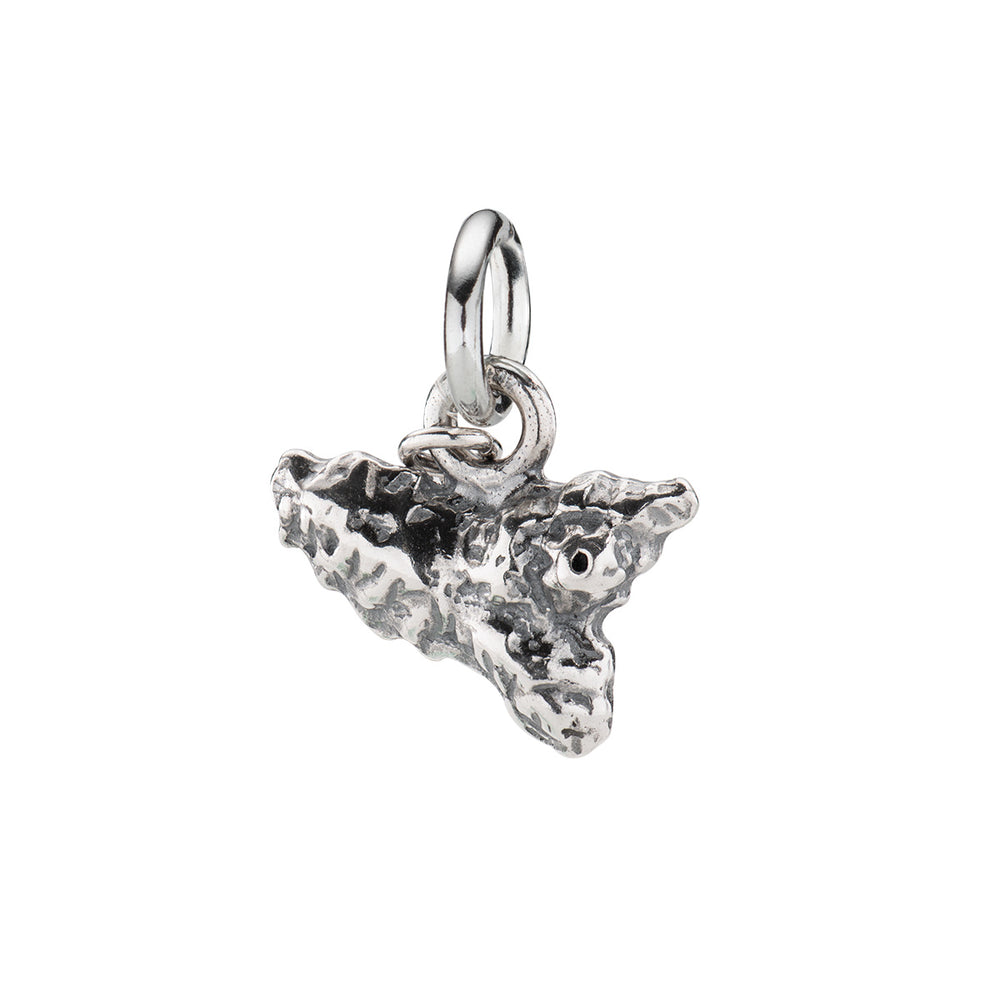 Charm Amen unisex charms - moments CH-CI09