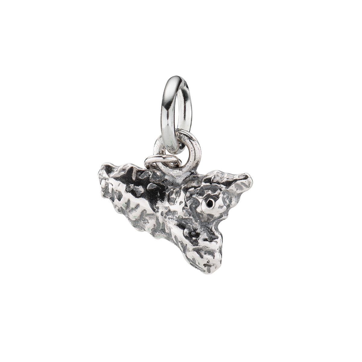 Charm Amen unisex charms - moments CH-CI09