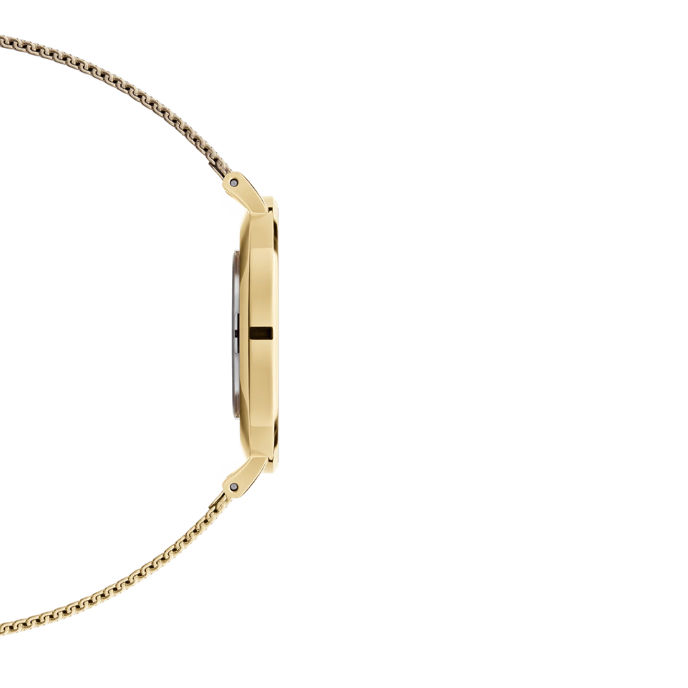 
                  
                    Daniel Wellington Petite Evergold Dw00100346
                  
                