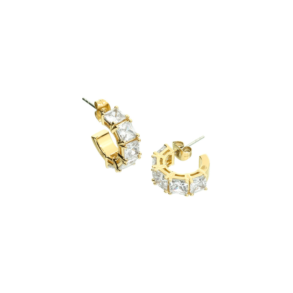 
                  
                    ORECCHINI DONNA CHIARA FERRAGNI CLASSIC J19AVJ24
                  
                