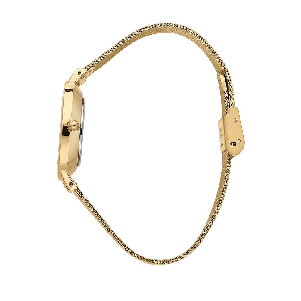 
                  
                    OROLOGIO DONNA BEG PREPPY R3853252529
                  
                