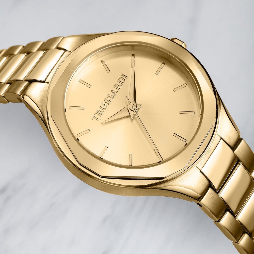 
                  
                    OROLOGIO DONNA TRUSSARDI BRINK R2453157505
                  
                