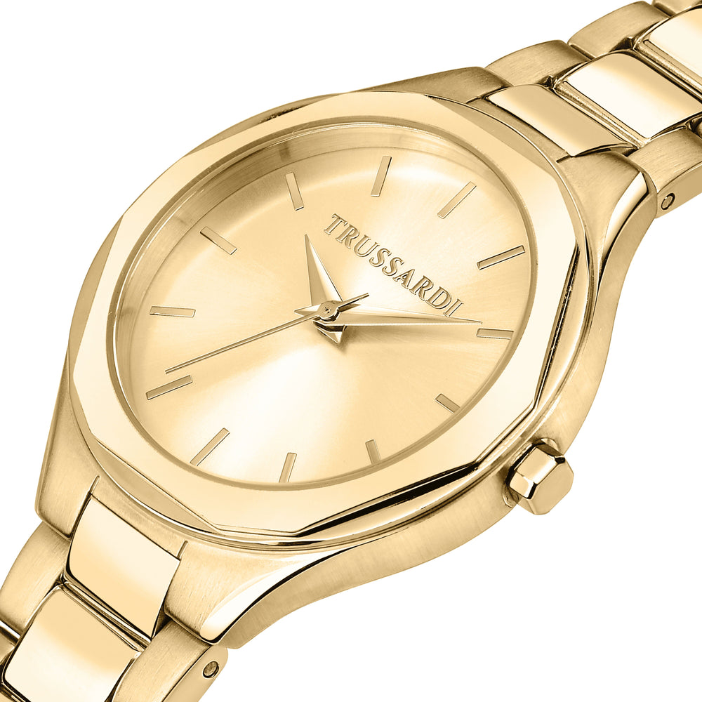 
                  
                    OROLOGIO DONNA TRUSSARDI BRINK R2453157505
                  
                