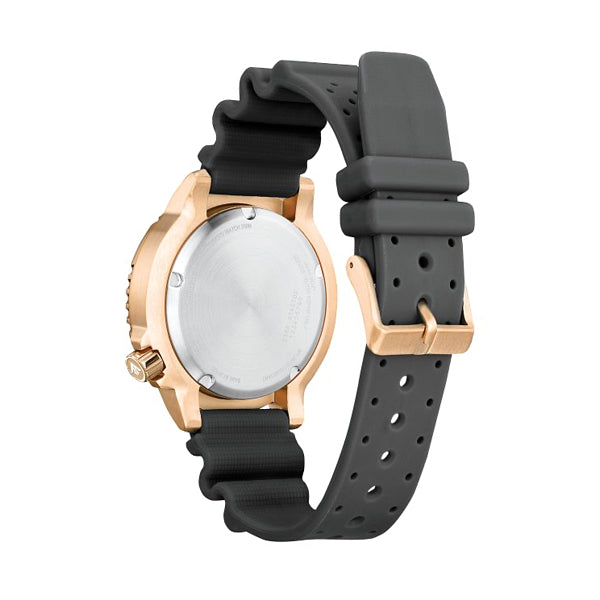 
                  
                    Orologio Citizen BN0163-00H
                  
                