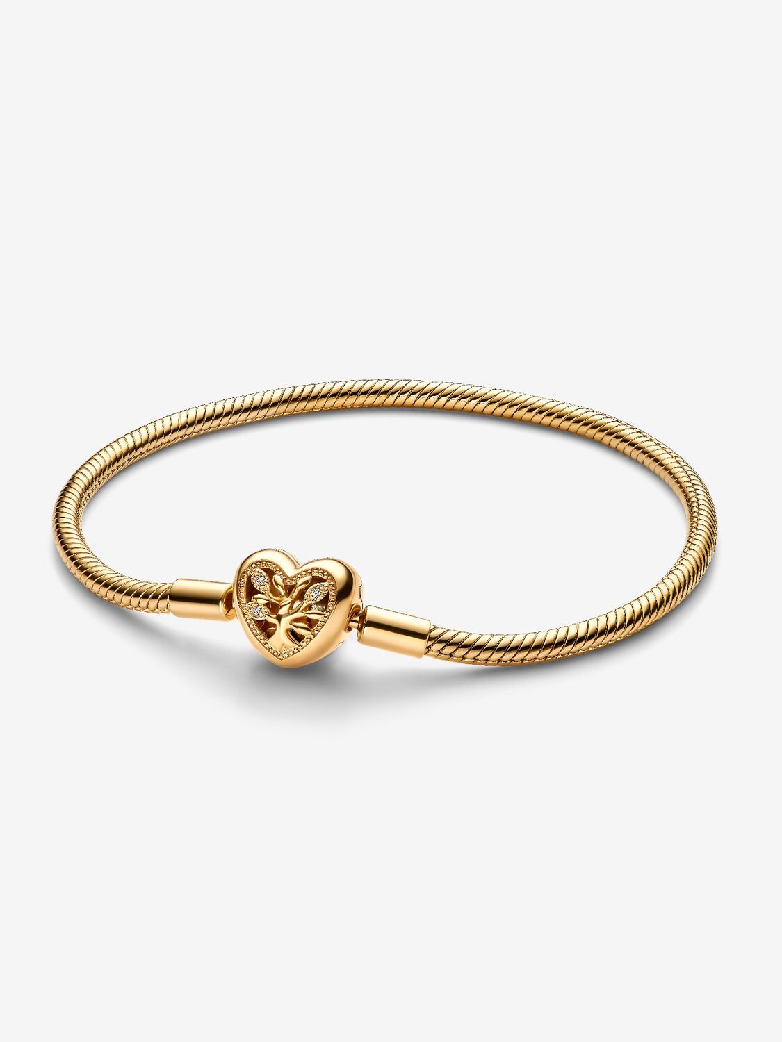 Pandora Bracciale Albero della Famiglia 563516C01