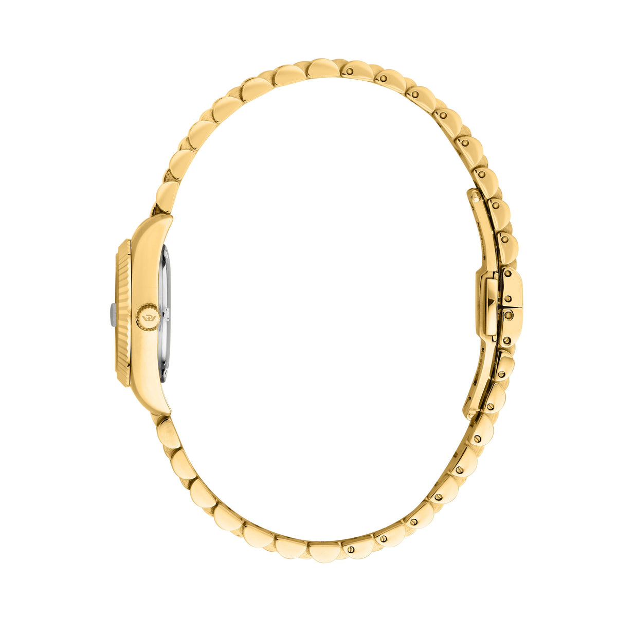 Orologio Philip Watch Caribe Urban donna R8253597686